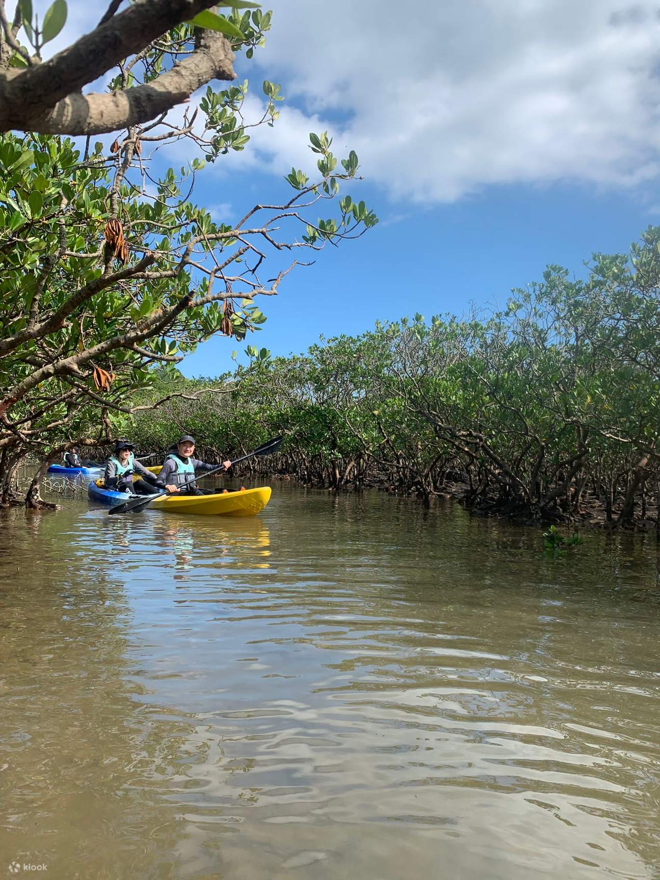 Meeresökologische Entdeckungstour – Streifzug durch den Mangrovenwald von Ting Kok und den Geopark Ma Shi Chau